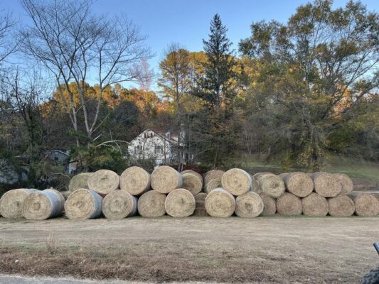 464688991_10211805520691437_7831700088254486052_n