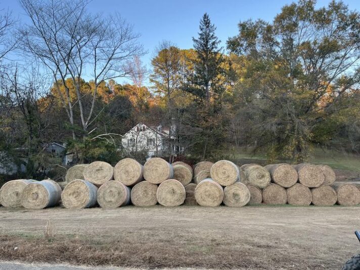 464688991_10211805520691437_7831700088254486052_n